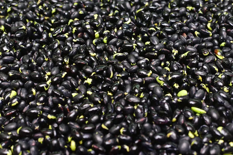 Dried black beans spread densely across a dark surface