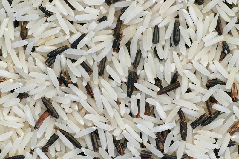Mixed white and wild rice grains