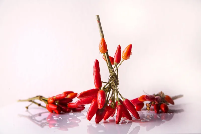 A bunch of dried red chilies against a pale background