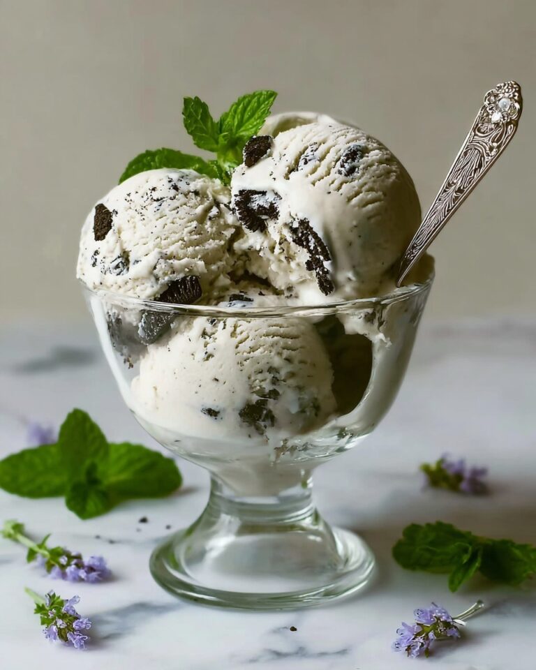 Homemade Mint Chocolate Chip Ice Cream Recipe