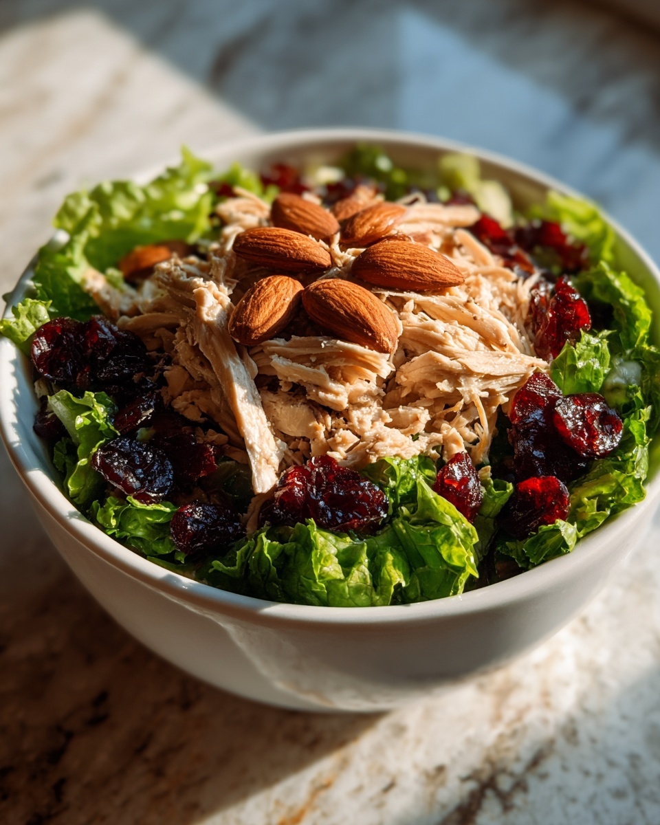 Asian Chicken Cranberry Salad Recipe - Recipe Image