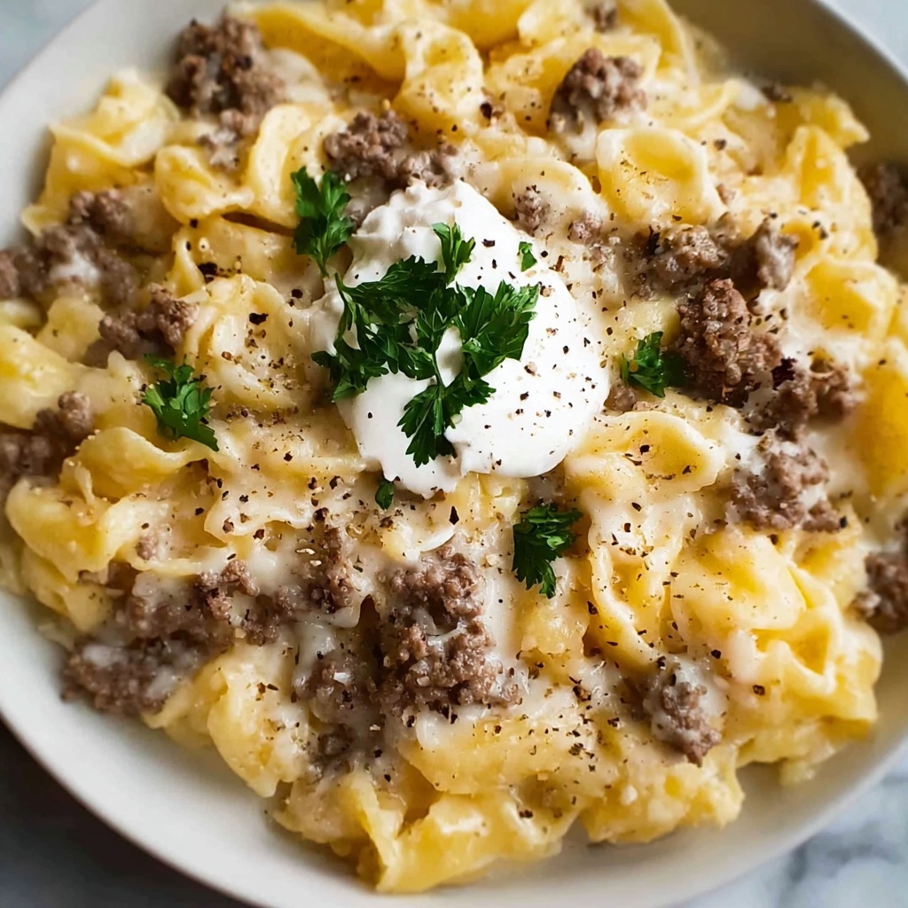 Sour Cream Beef Noodle Casserole Recipe - Recipe Image
